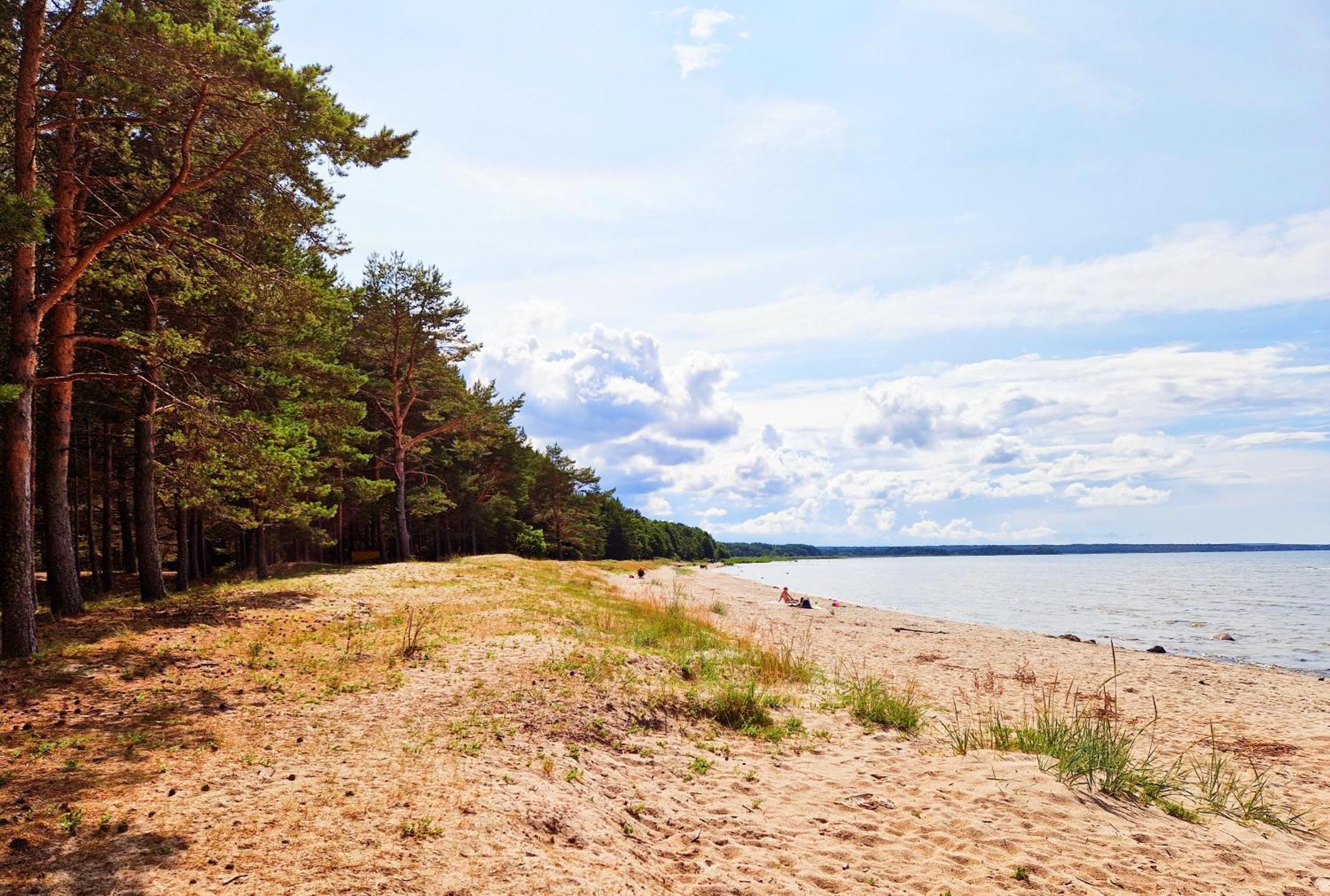 Elulille Maja Mere Laeheduses Lahemaa Ruepes Andineeme Exterior foto